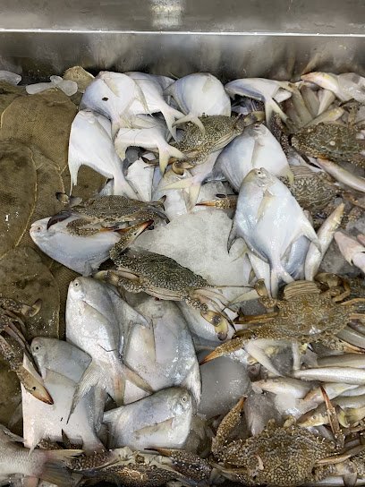 أسماك البصرة البحريه