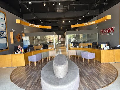 Pegasus